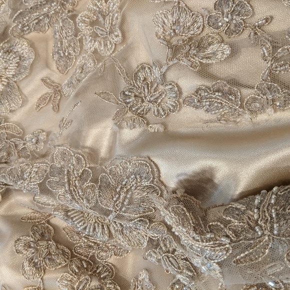 Lace Overlay Dress with Jacket ~ XXS - Picture 14 of 14